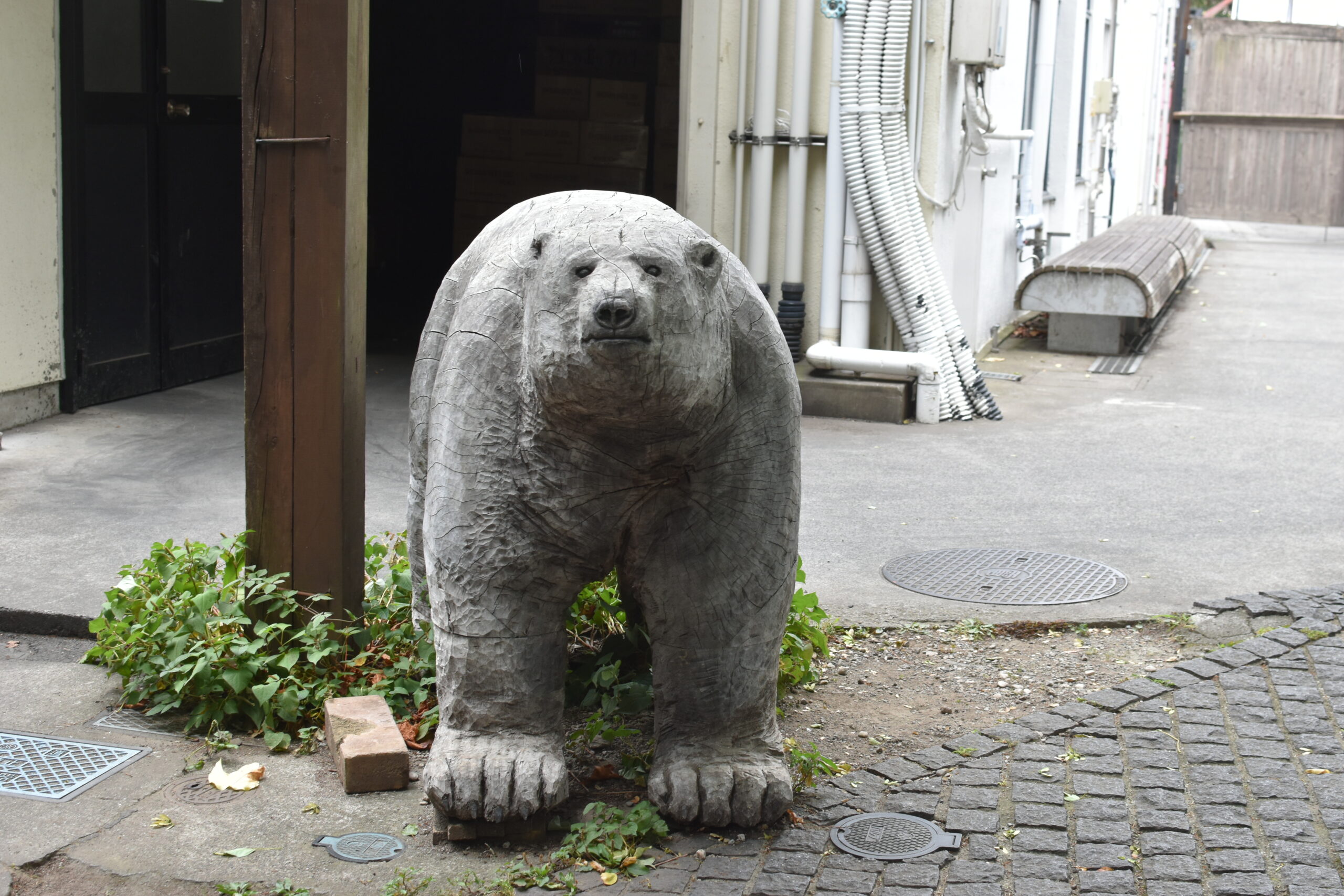 03白熊がやってきた！ - 熊澤酒造株式会社