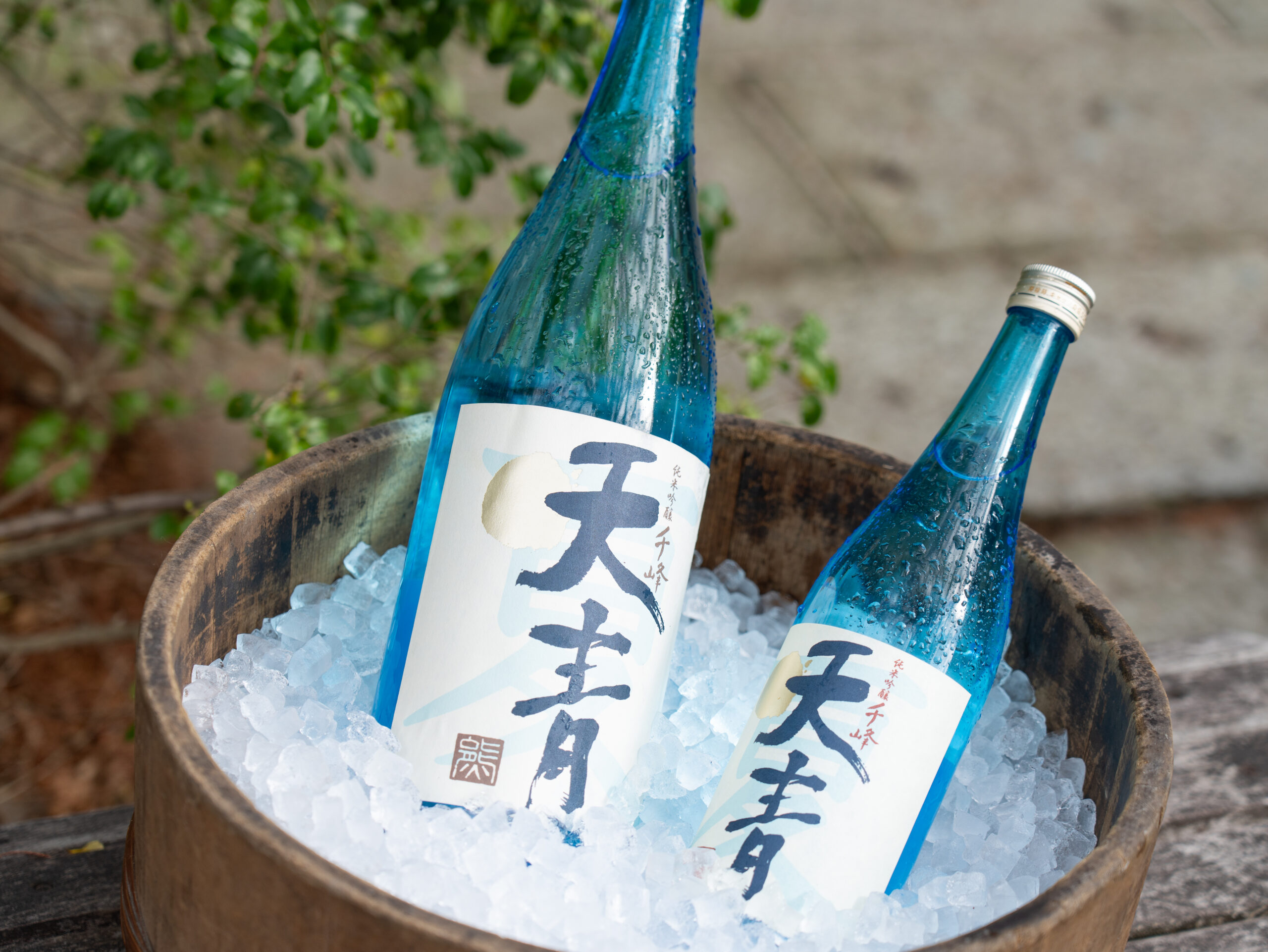 夏を彩る粋なヤツ「天青 夏純吟」 - 熊澤酒造株式会社