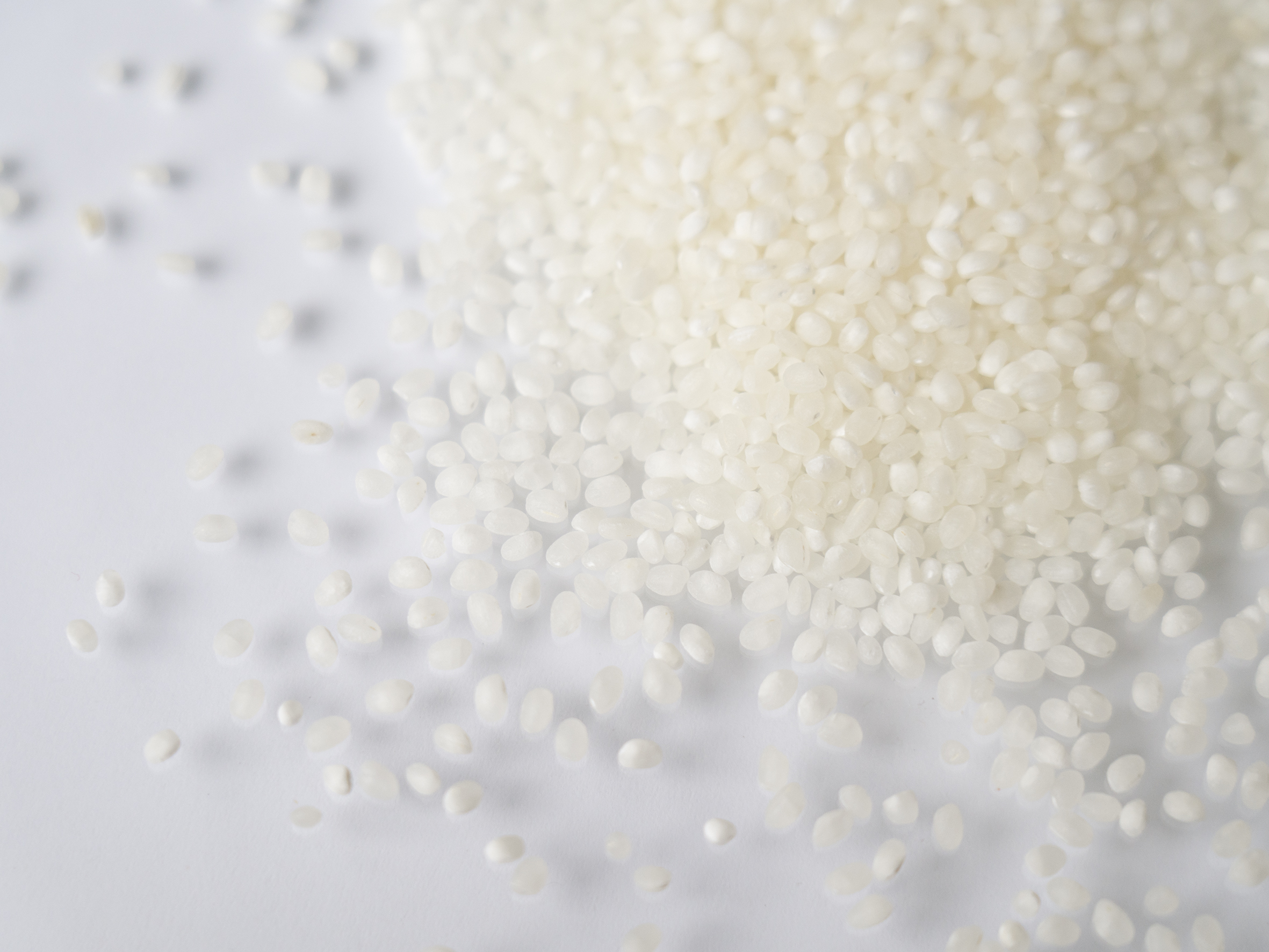 第二章本格稼働！ - 熊澤酒造株式会社