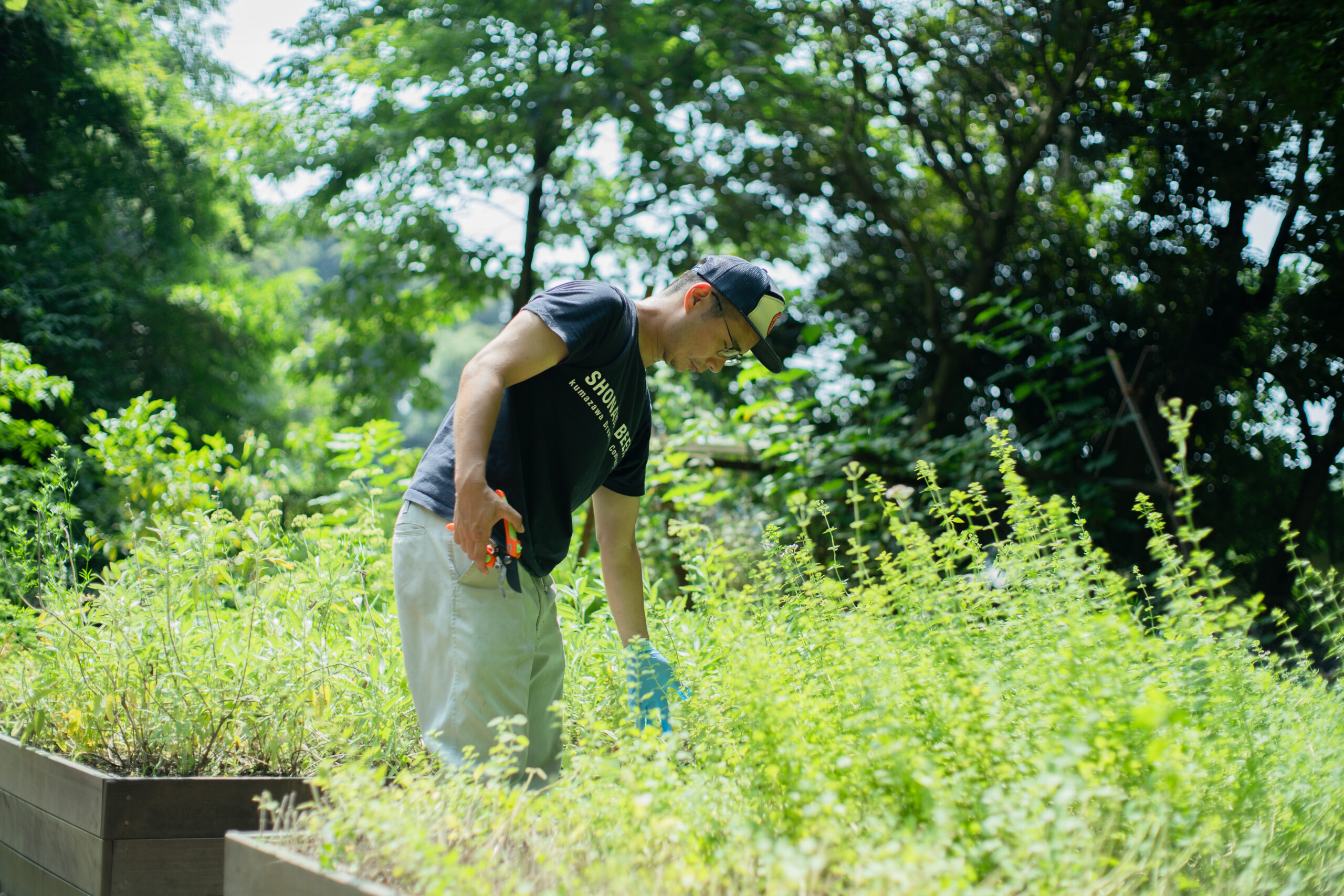 ハーバルなおしゃれさん 鎌倉ハーブセゾン - 熊澤酒造株式会社