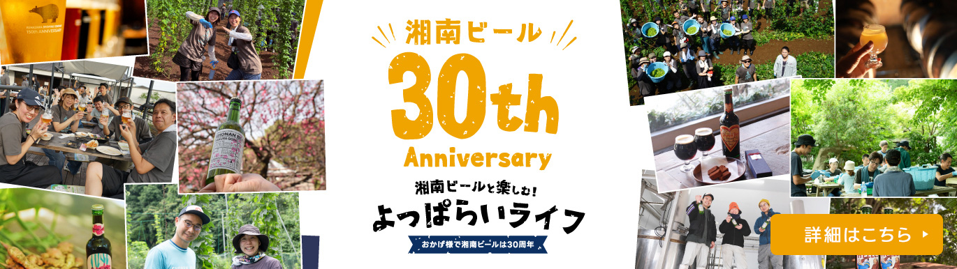sb30th_pc