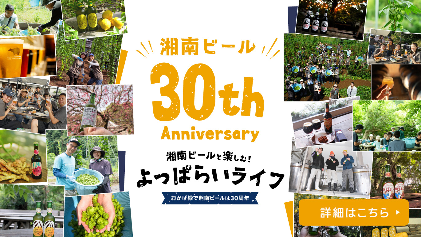 sb30th_sp